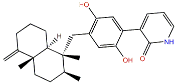 Dysivillosin B